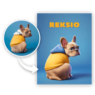 Personalizowany Obraz na płótnie Disney dla twojego zwierzaka - Mejkmi - Personalizowane Prezenty Dla Twoich Bliskich!